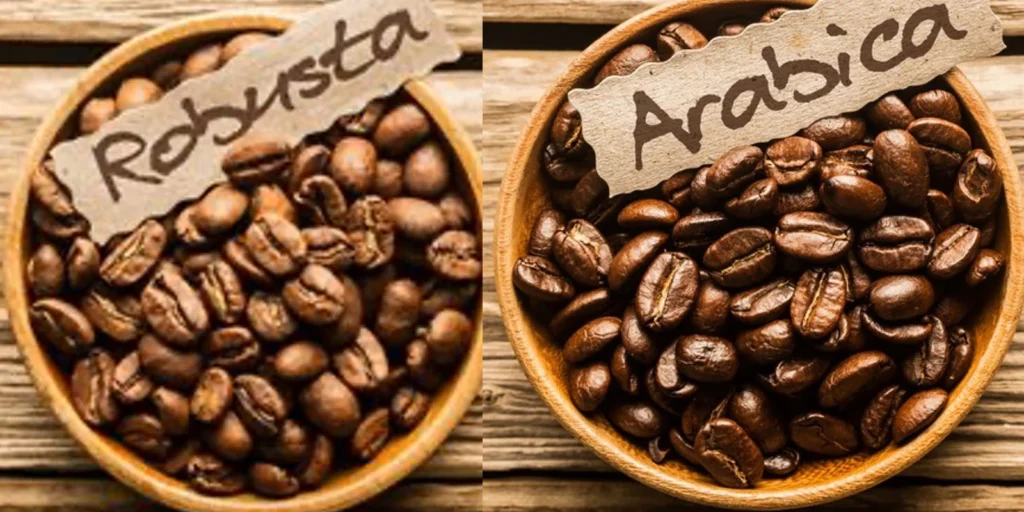 Making a top-notch espresso: Arabica vs. Robusta 
