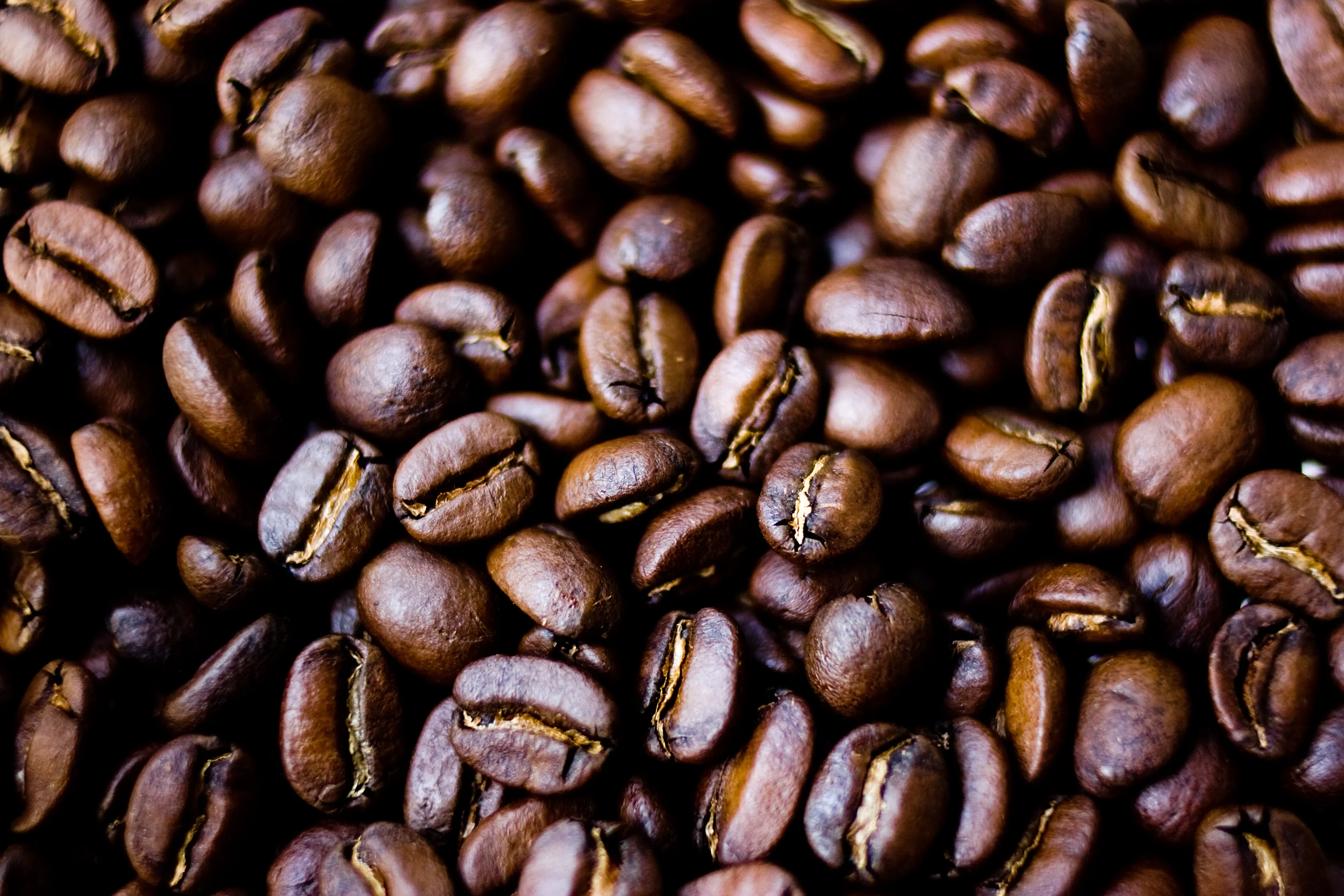 The coffee Beans 