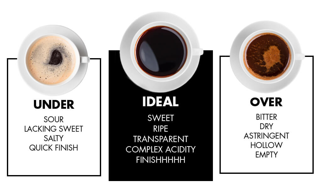 Perfect Guide to Espresso Extraction