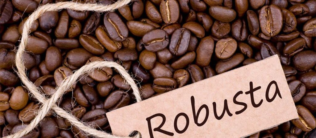 Best Coffee Beans: Robusta Beans