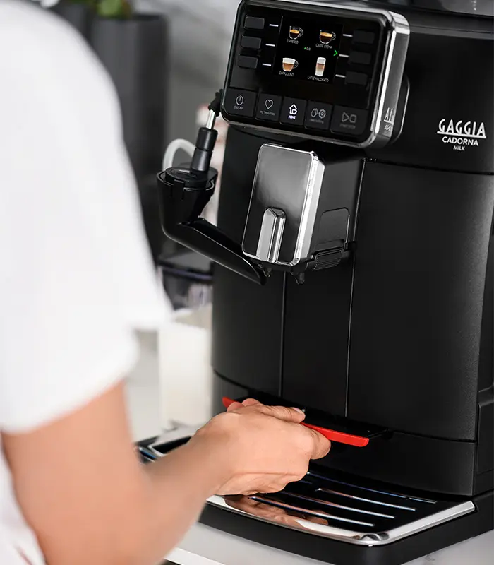 Gaggia Cadorna Usage and performance