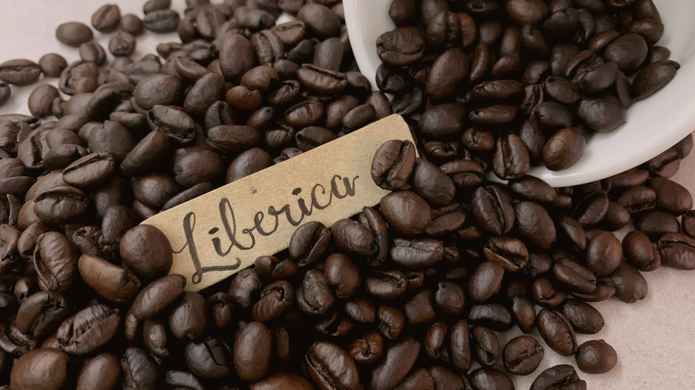 Best Coffee Beans Liberica beans