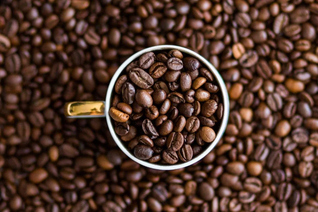 Best Coffee Beans Robusta beans