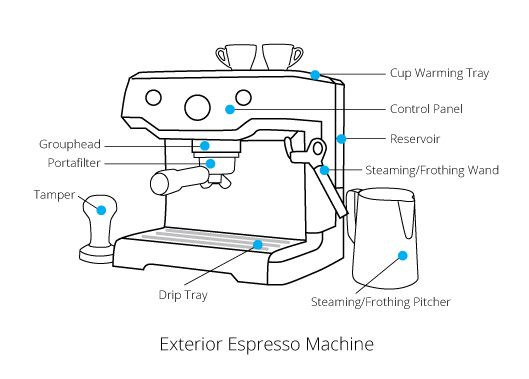 Components of an Espresso Machine