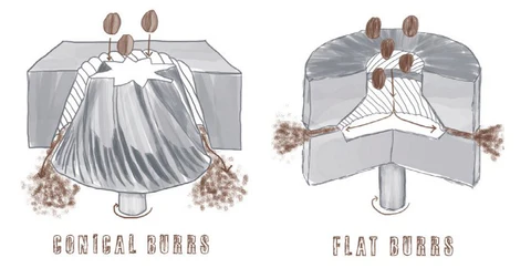 The Difference Between Conical and Flat Burr Grinders