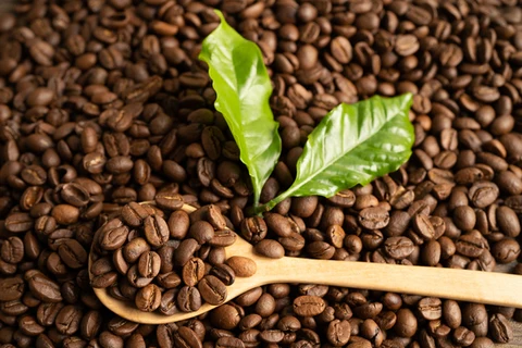 Ethical and Organic Quality Coffee