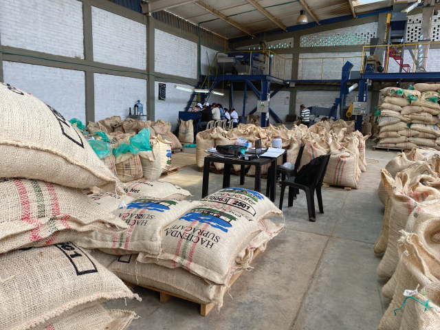 Innovative Coffee Processing in Colombia