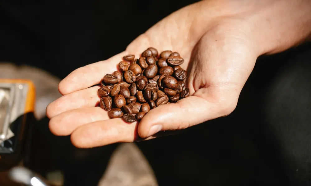 Freshness of Coffee Beans and Extraction Time