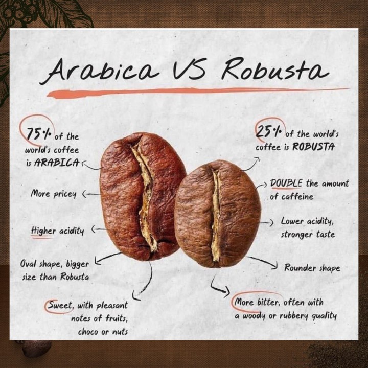 Arabica vs Robusta: Why Colombia Only Produces Arabica Coffee