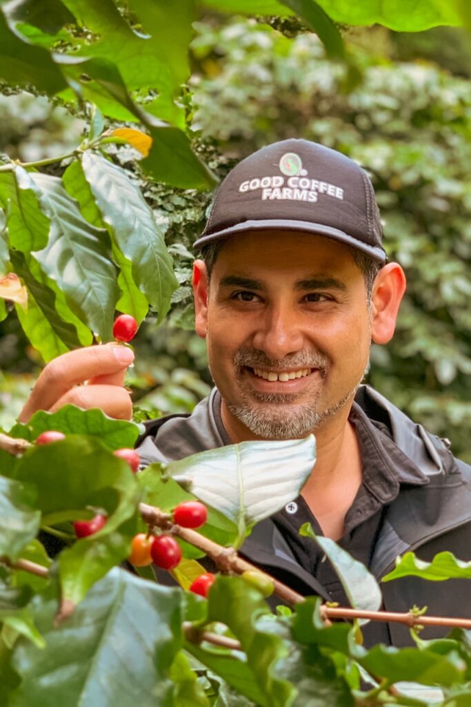 How Small-Scale Colombian Coffee Farmers Sustain a Global Industry