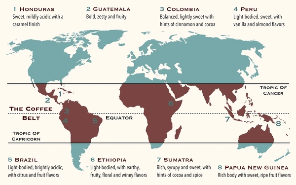 How the FNC Impacts Global Coffee Exports