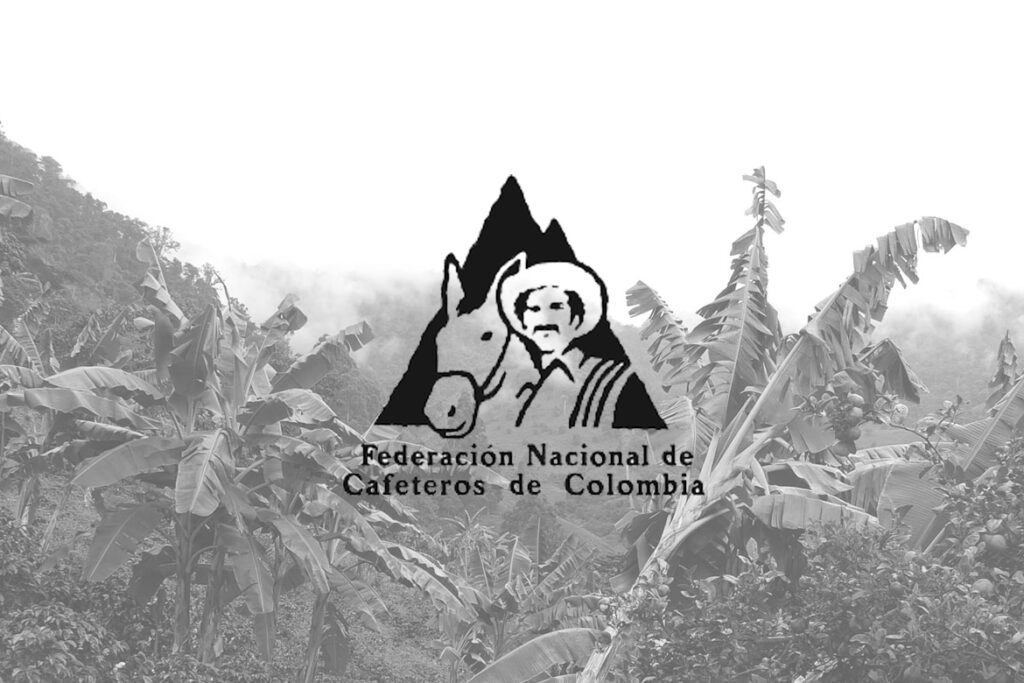 National Federation of Coffee Growers: The Backbone of Colombian Coffee Quality