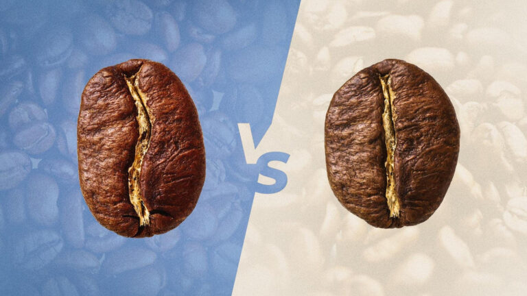 What’s the Difference Between Arabica and Robusta?