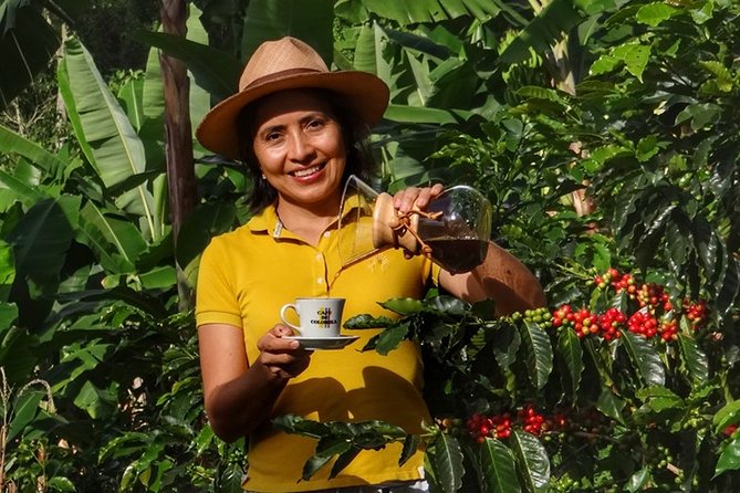 Sustainability Efforts in Colombian Coffee Farming