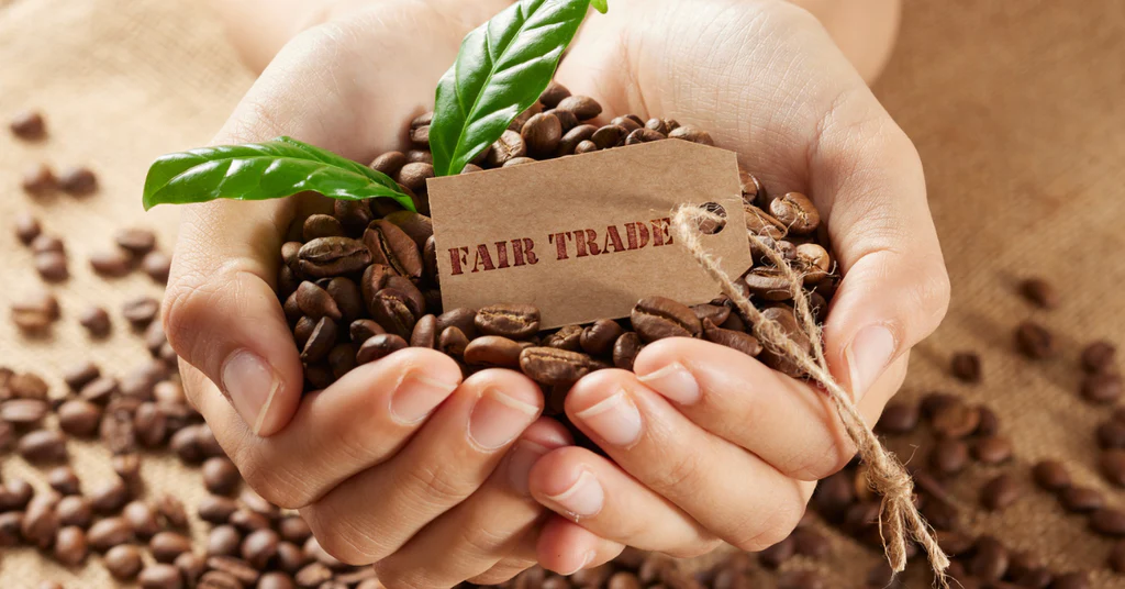 How Fair Trade & Direct Trade Benefit Colombian Coffee Producers