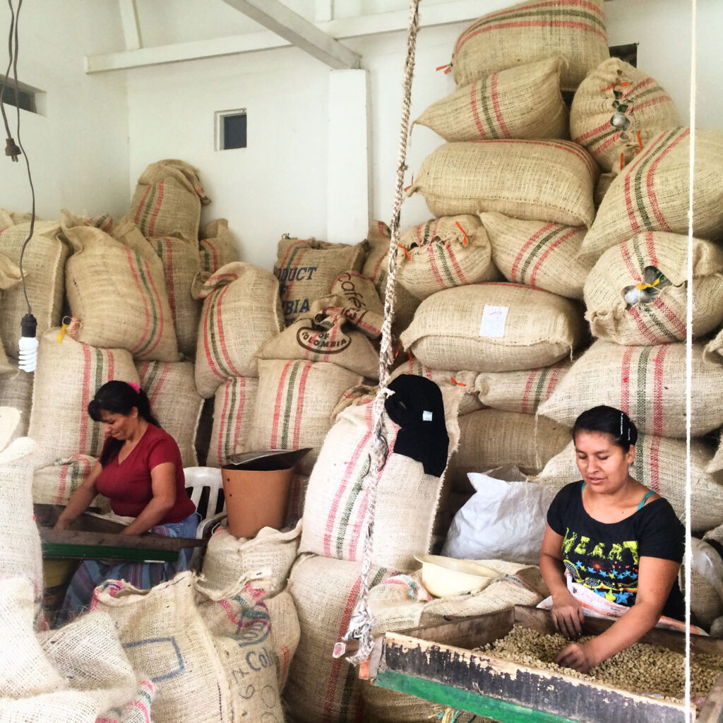 future of coffee farming in Colombia