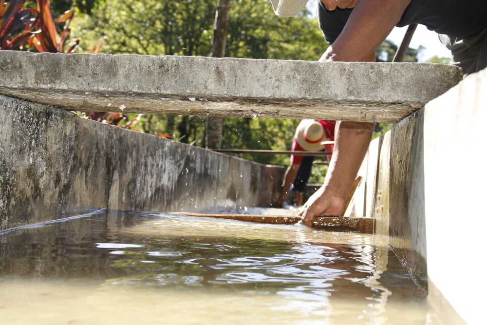 Eco-Pulping Technology: Cutting Water Use by 80%