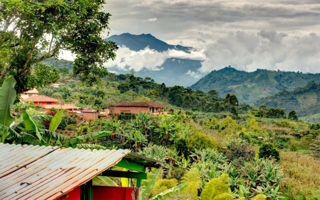 Choosing Your Ideal Colombian Coffee Region