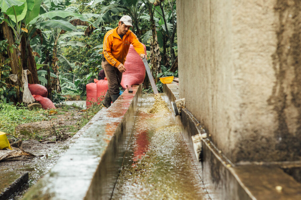 Colombian coffee farming Water Recycling & Dry Fermentation