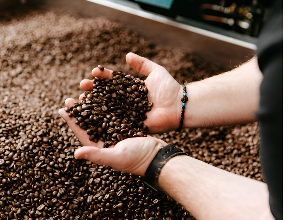 Roaster analyzing light-medium roast development for washed Rwanda