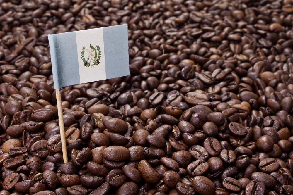 Guatemalan Coffee in Espresso: Richness and Complexity
