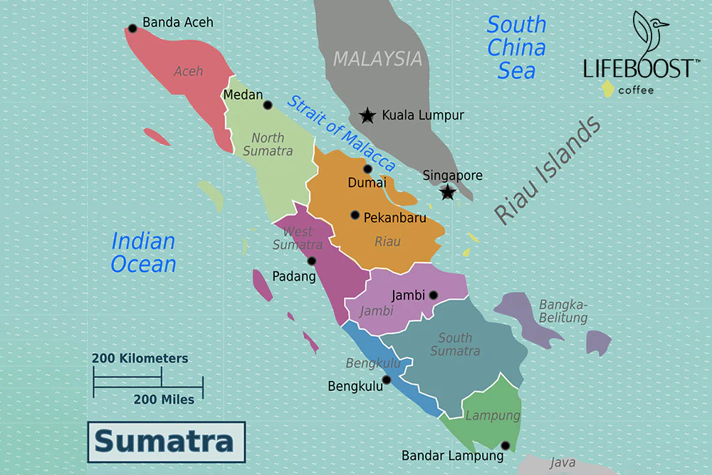 Espresso flavor map with Sumatra flavor notes outlined
