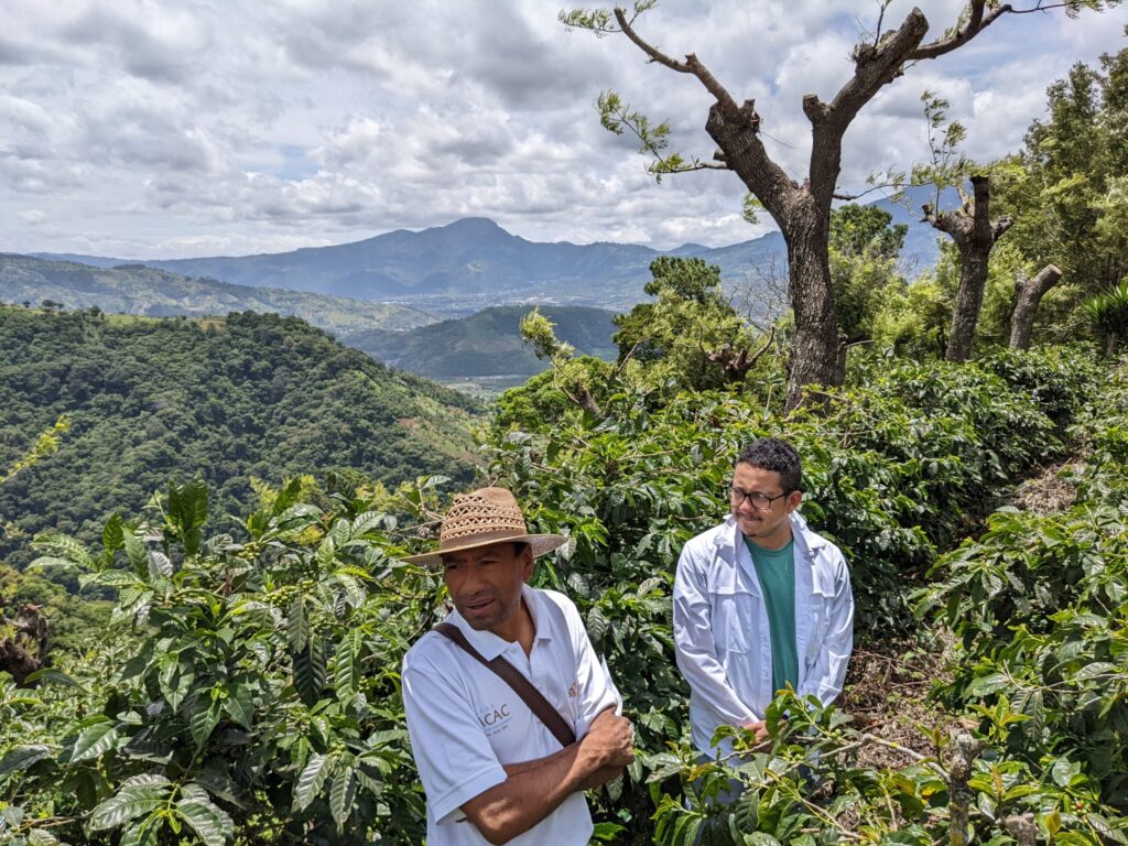 Volcanic terrain and cloud forest near a coffee farm in Antigua