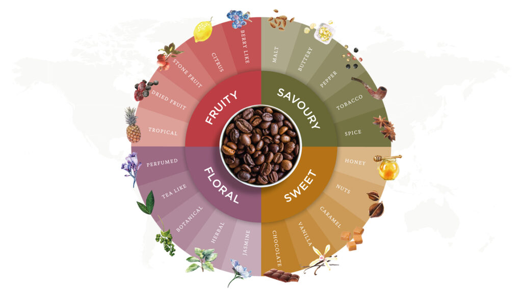 Flavor wheel showing blend clustering in chocolate/nut tones, single origin in fruit/floral of coffee