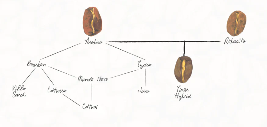 Diagram showing three origins coffee