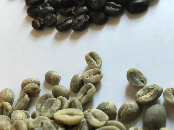 Side-by-side of underdeveloped vs dialed-in Kenyan roast