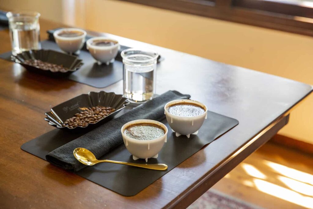 Cupping table featuring different single-origin regions