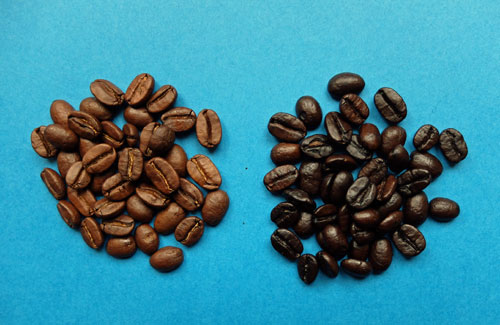 Roast Development Basics: What’s the Difference?