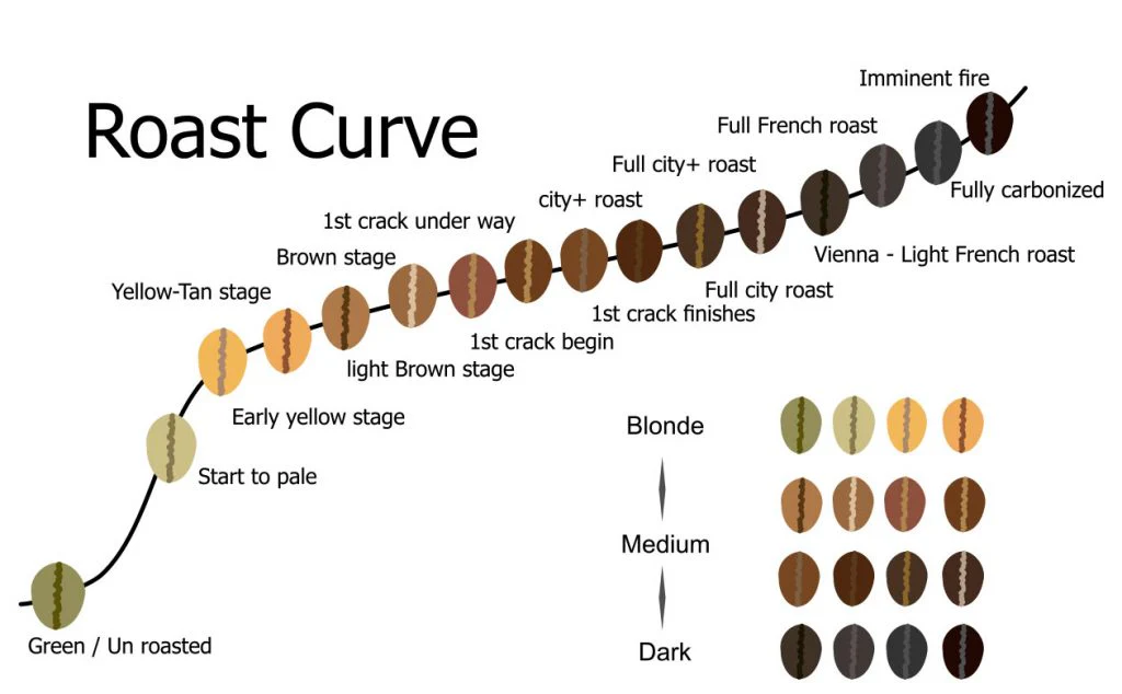 how roast level affects espresso