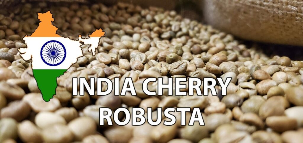 Indian Robusta in Espresso