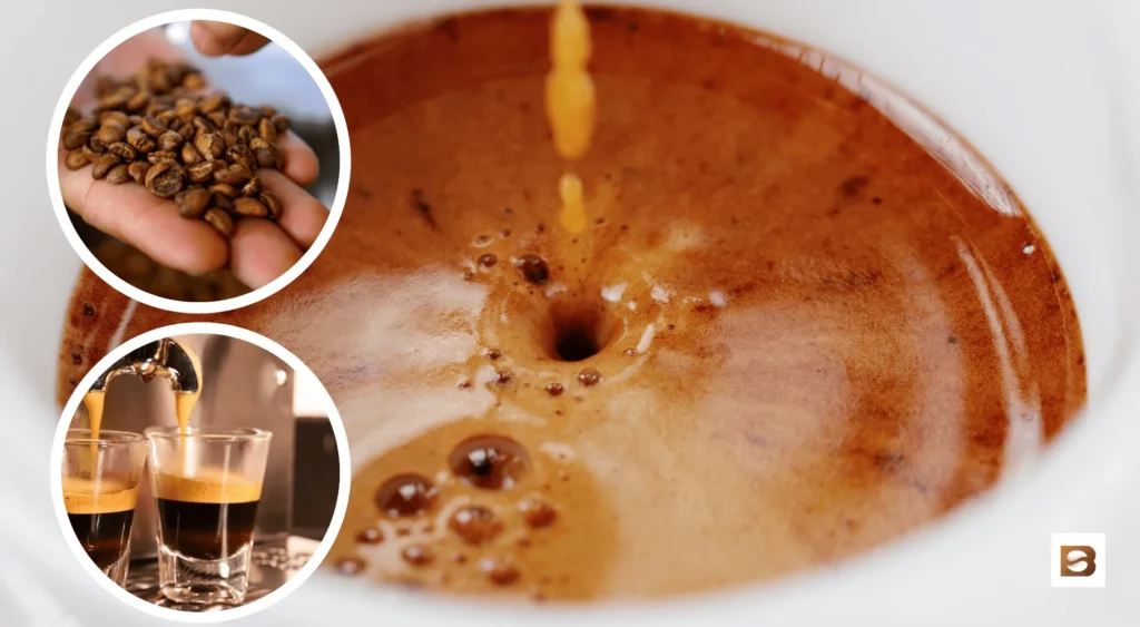 Shot labeled 100% Robusta – smoky, punchy, thick crema