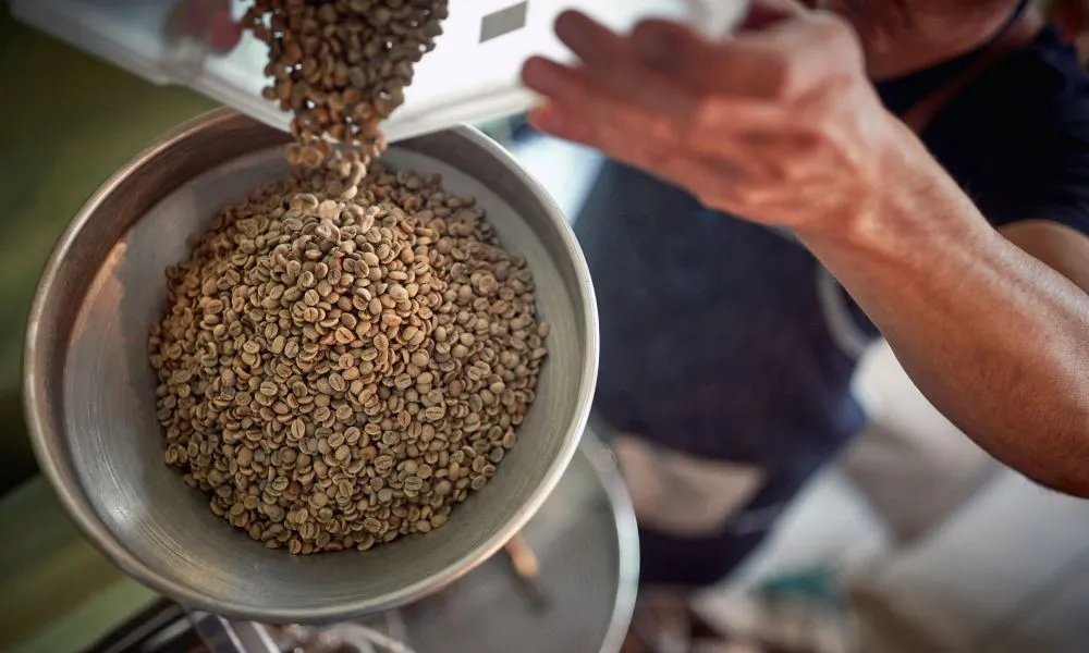 carbonic maceration coffee