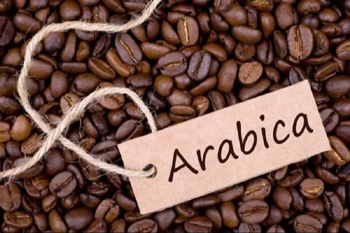 Why Arabica Beans from Colombia Make Superior Espresso Shots