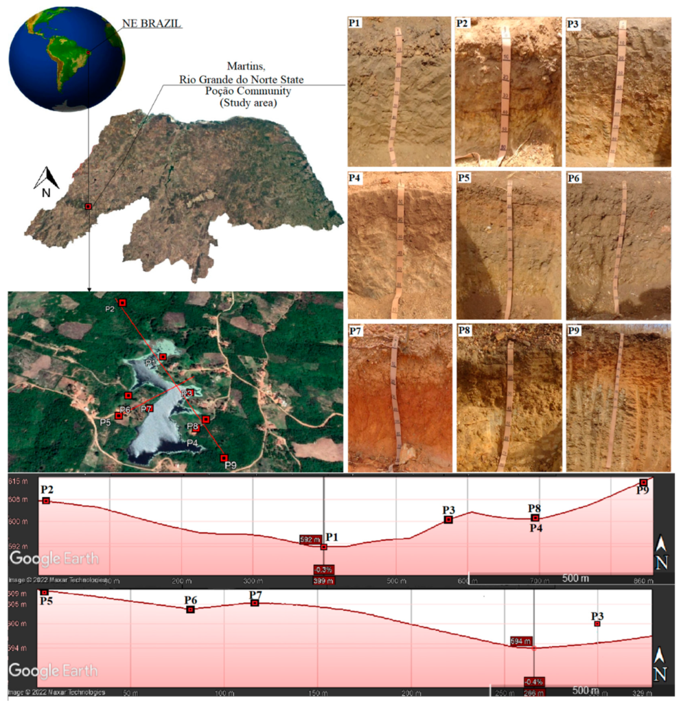 Soil Profiles by Region like Huila,Nariño,Antioquia