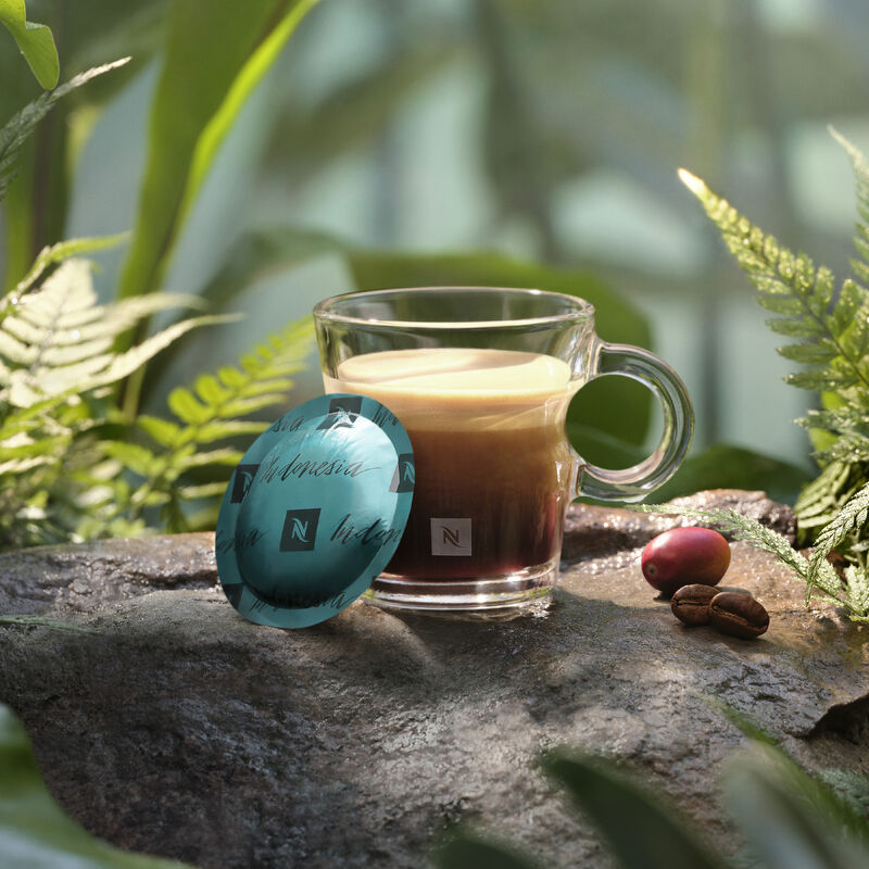 Introduction to Nespresso’s Two Ecosystems