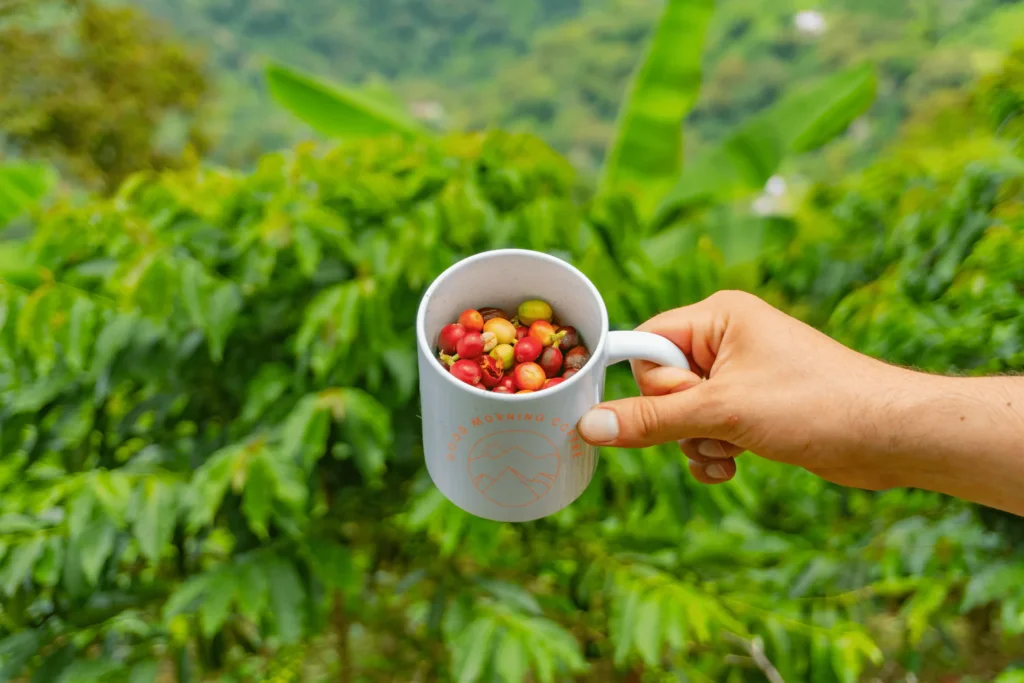 Huila Beans for Espresso: Bright Acidity and Floral Notes