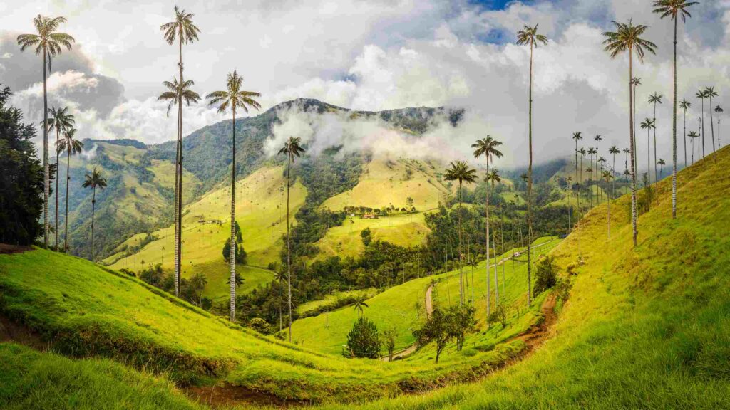 Colombia’s Diverse Landscape Creates Ideal Conditions
