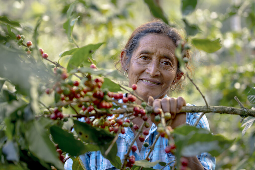 Central America: Guatemala, Honduras, and Costa Rica