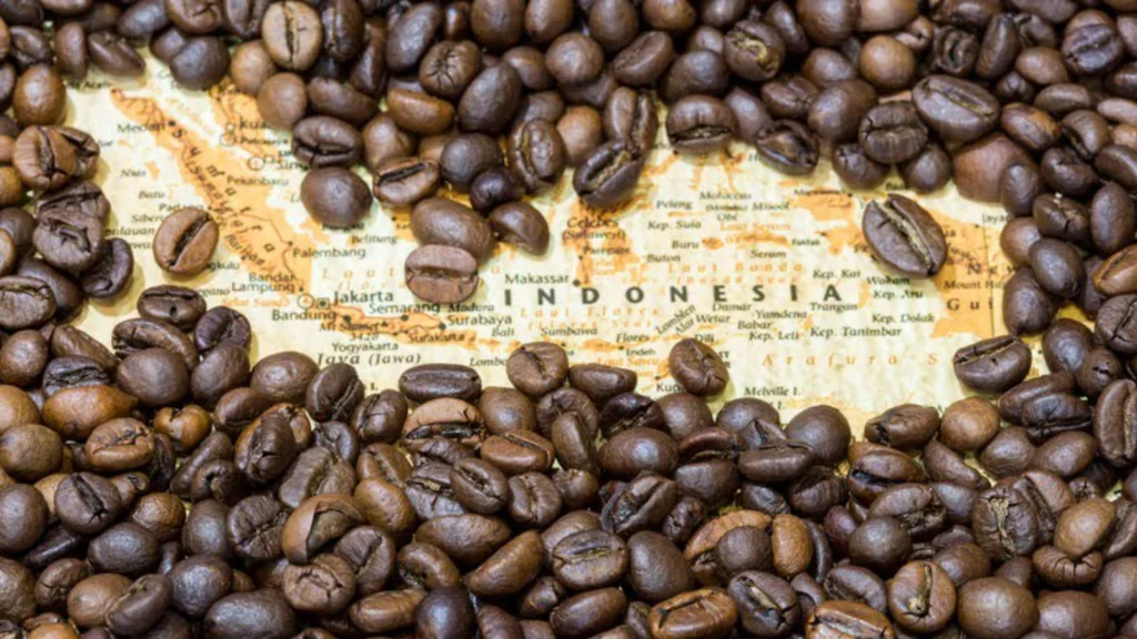 Indonesian coffee beans