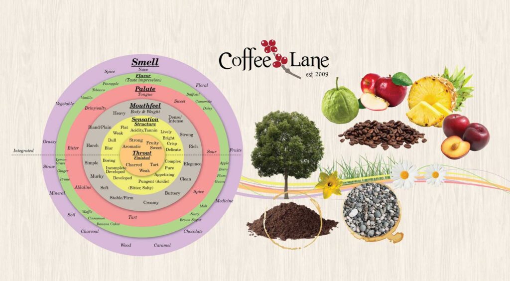 Body, Sweetness, and Mouthfeel Variations coffee