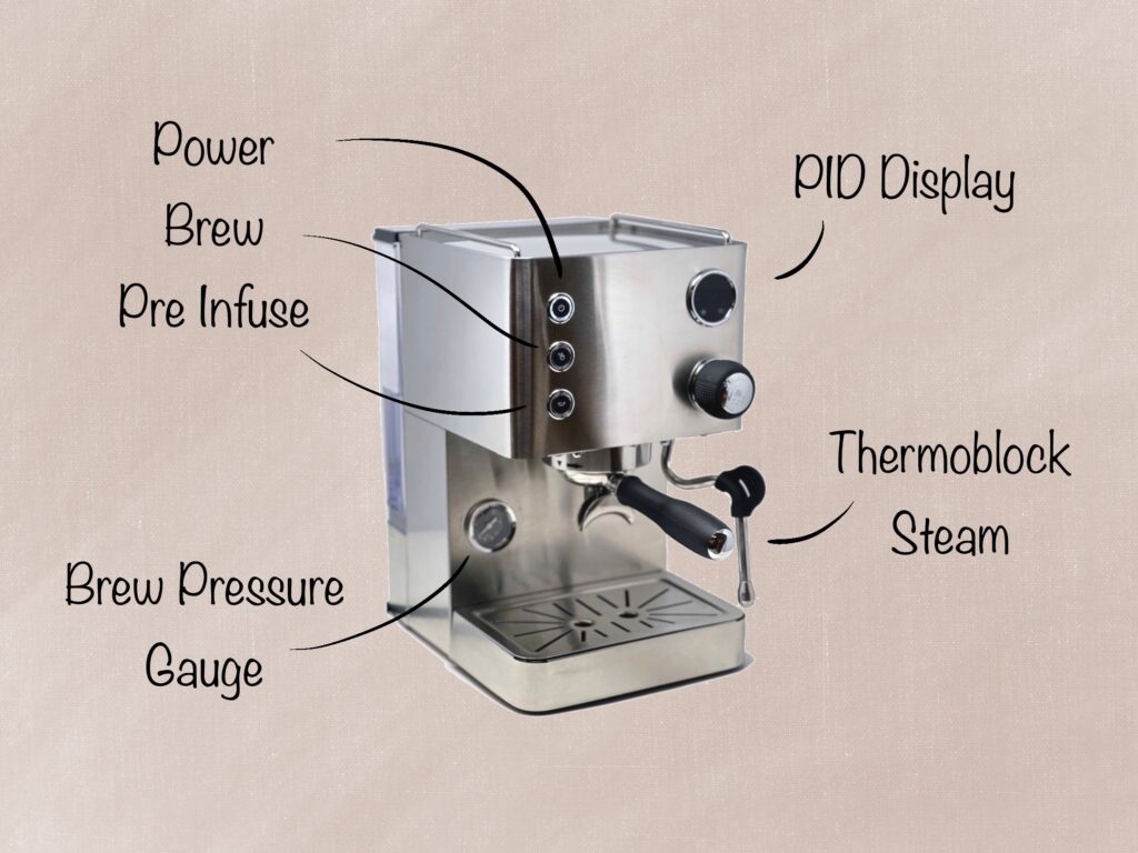 Turin Legato Review: Performance, Value, and Everything You Need to Know