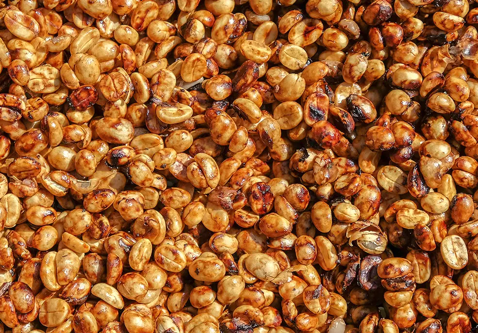 Honey Processing coffee