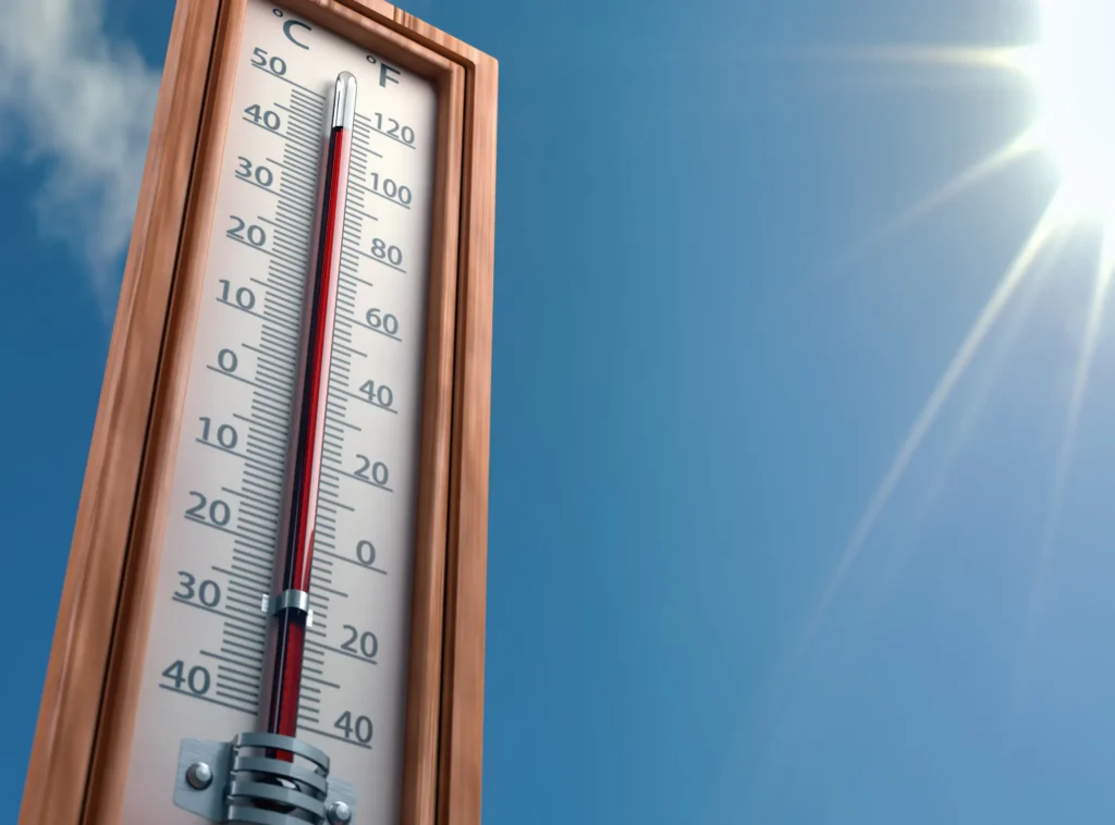 Climate and Rainfall Patterns for Coffee