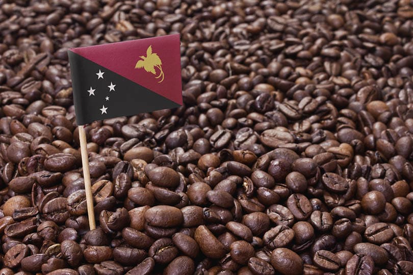 Vietnamese coffee Papua New Guinea grows Arabica