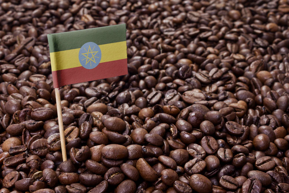 Ethiopian coffees