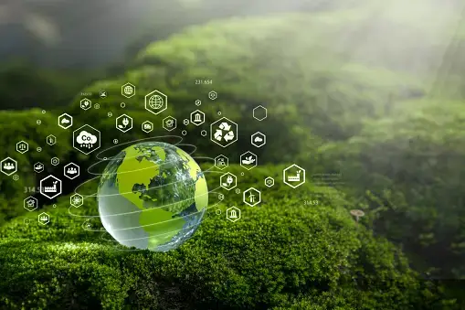 Environmental Considerations